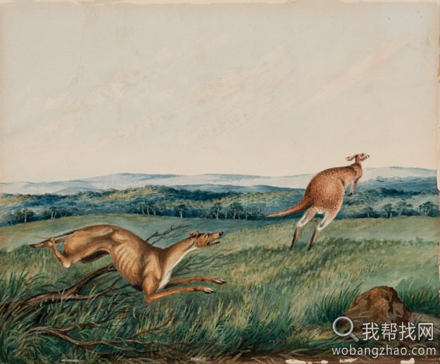 Adam_Gustavus_Ball_-_Dog_chasing_a_kangaroo.jpg