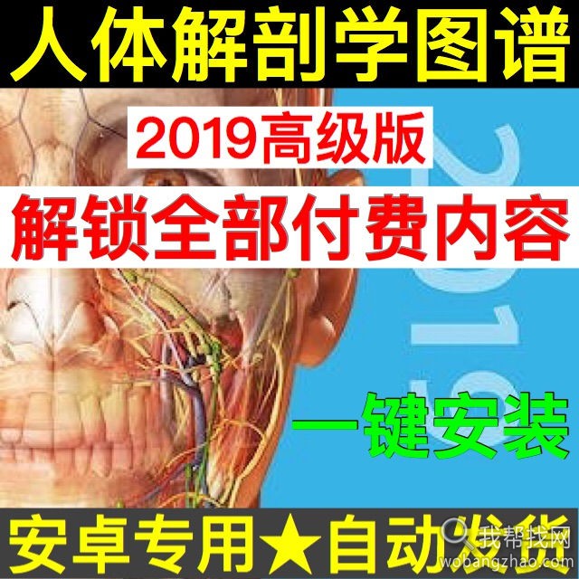 2019版人体解剖学图谱.jpg