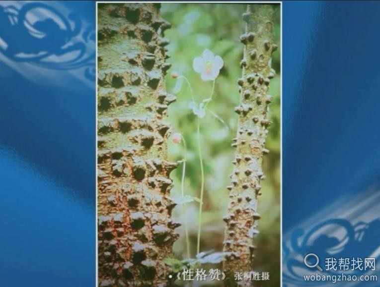 单反摄影构图视频教程共3集9.jpg