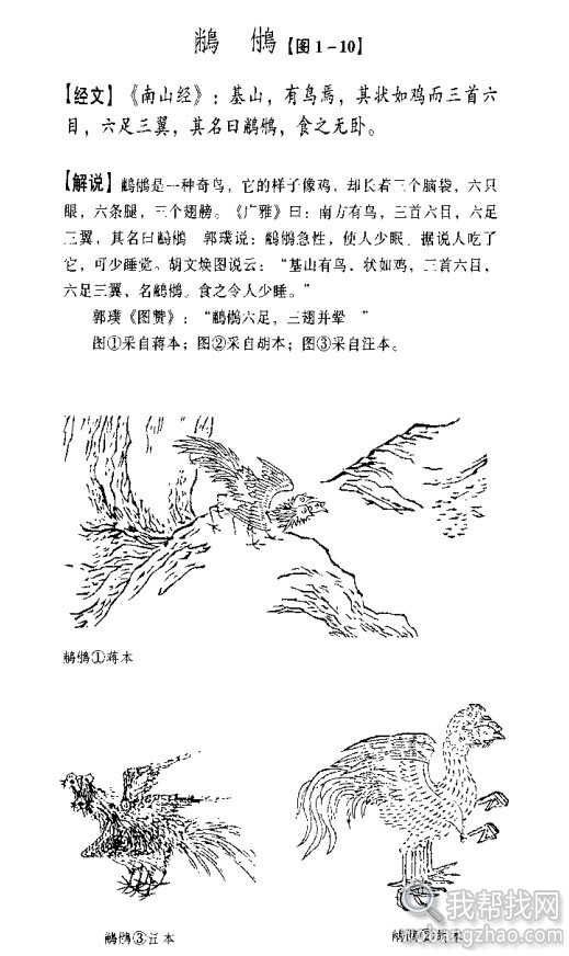 山海经图说 (5).jpg