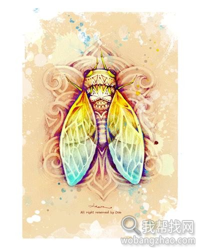《蝉》cicada.jpg