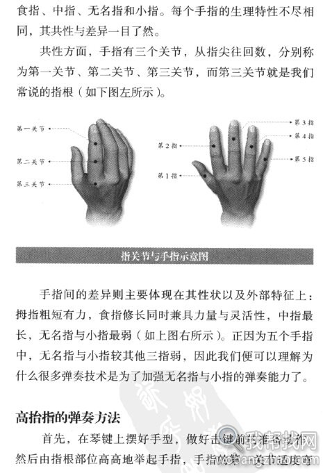 钢琴学习PDF电子书16本 (5).jpg