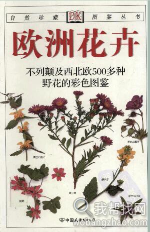 dk图书2.jpg