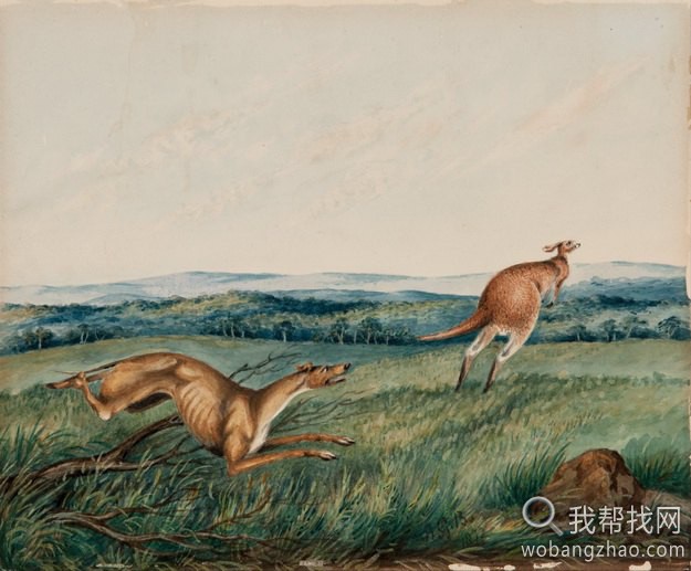 Adam_Gustavus_Ball_-_Dog_chasing_a_kangaroo.jpg