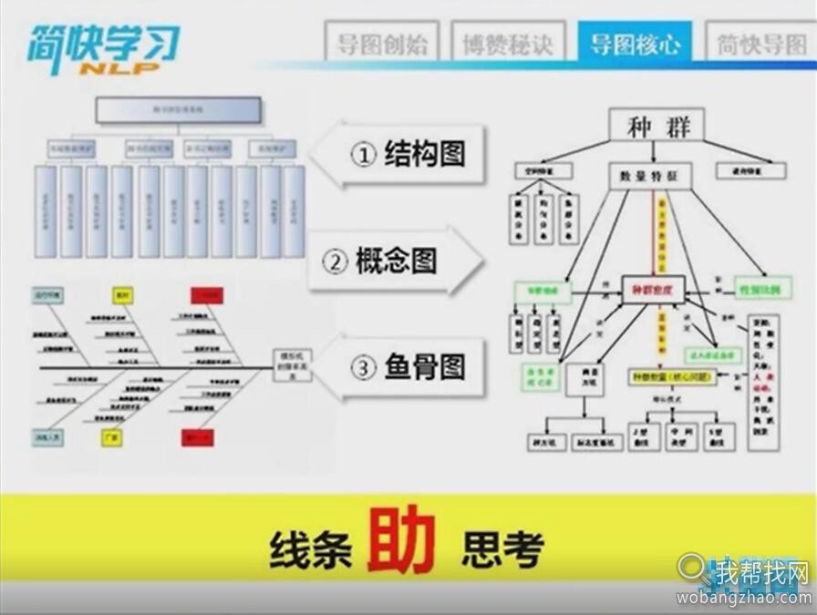 思维导图教程 (6).jpg