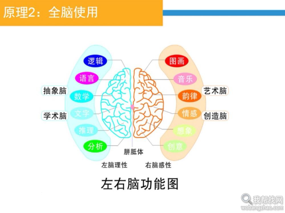 思维导图教程 (3).jpg