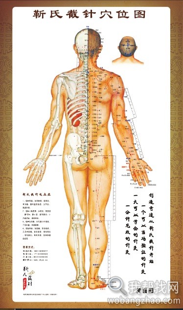 截针穴位图 (2)（我帮找网）.jpg