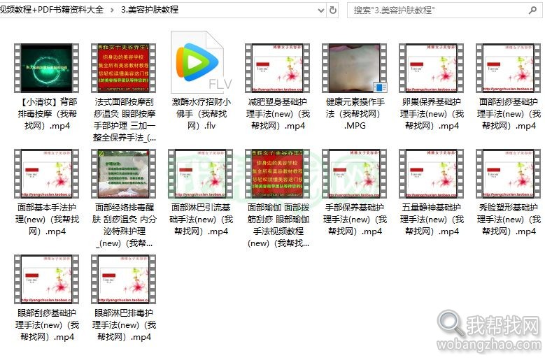 美容护肤洗脸面部按摩与保养手法视频教程 PDF书籍资料大全 (4).jpg