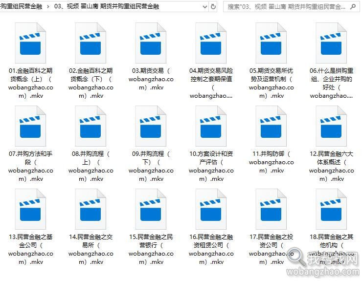 翟山鹰视频音频商业金融投资资本运作企业管理的高端课程全集 (4).jpg