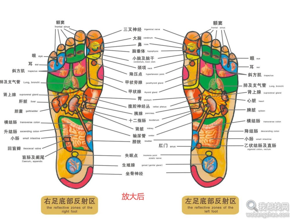 中医知识资料大全 (9).jpg