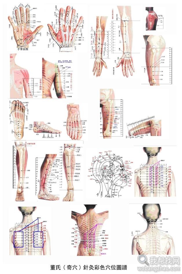 奇穴穴位图02.jpg