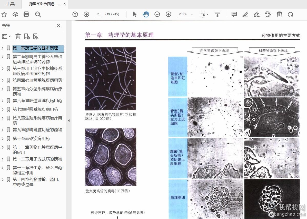 人体图谱05.jpg