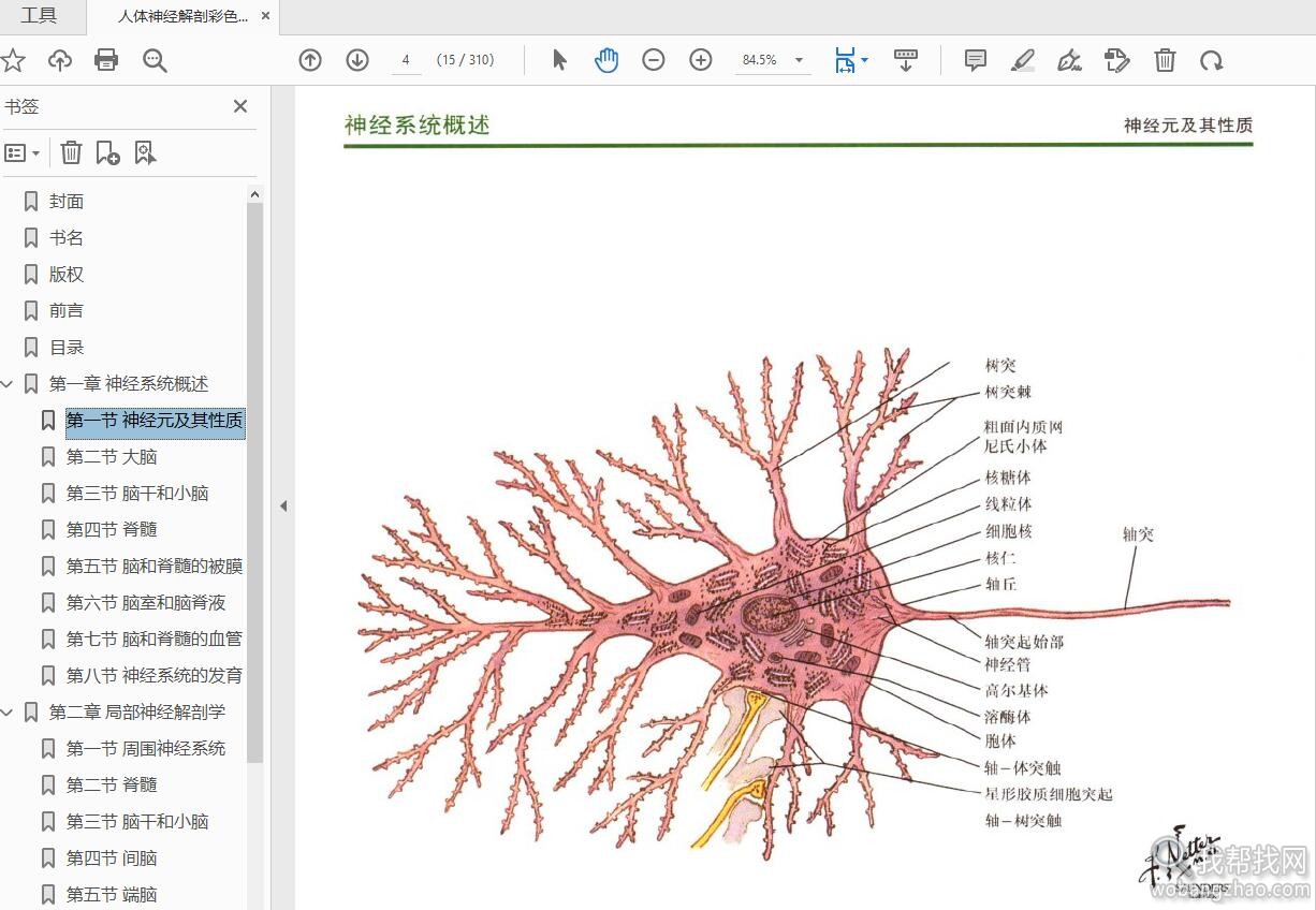 人体图谱02.jpg