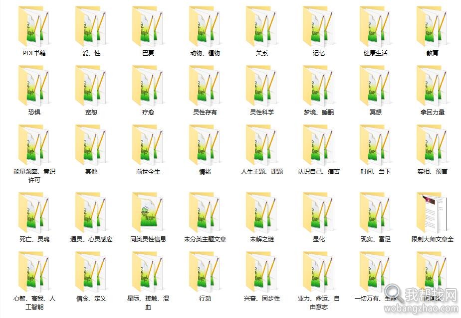 巴夏01.jpg